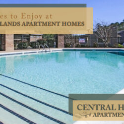 amenities to enjoy at Central Highlands Apartment Homes