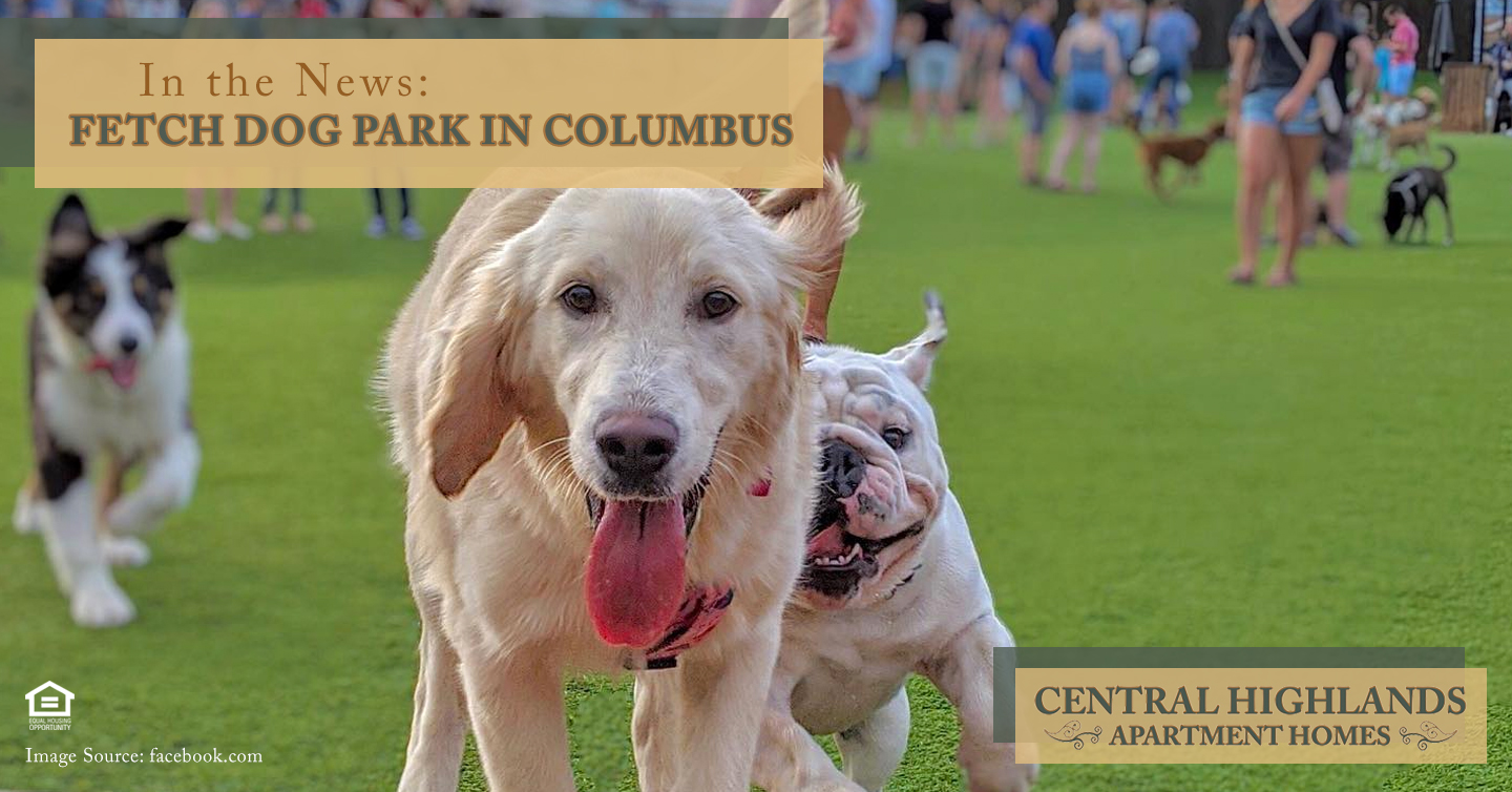 In the News: Fetch Dog Park in Columbus
