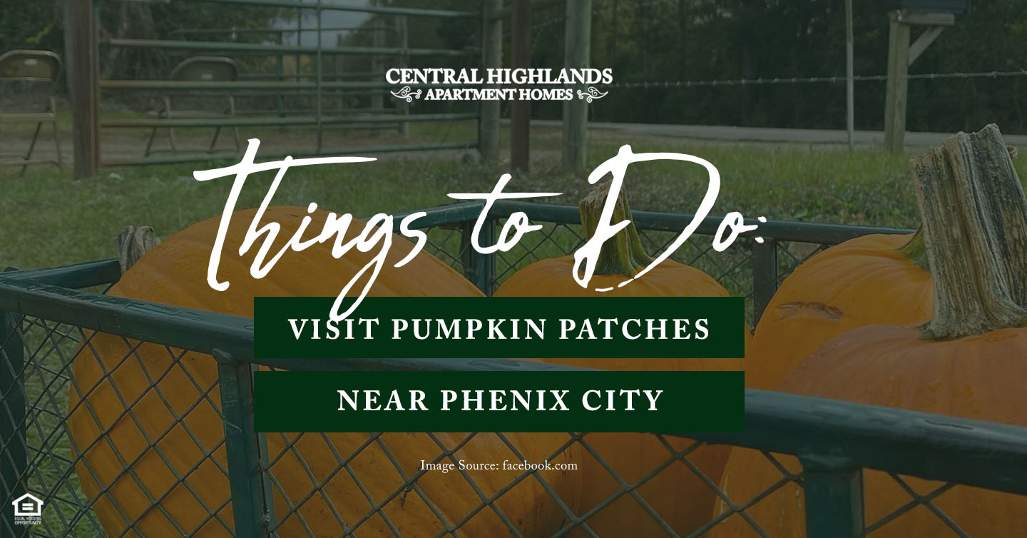 Things to Do: Visit Pumpkin Patches Near Phenix City