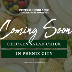 Chicken Salad Chick in Phenix City