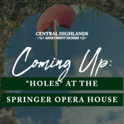 “Holes” at the Springer Opera House